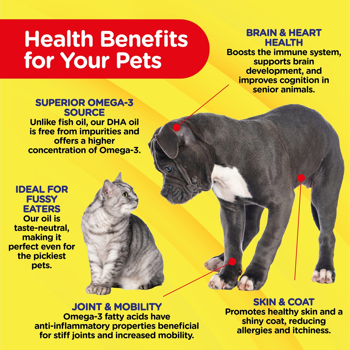 PetJesty Pure: Superior Vegan Omega 3 Oil for Ultimate Pet Wellness & Vitality